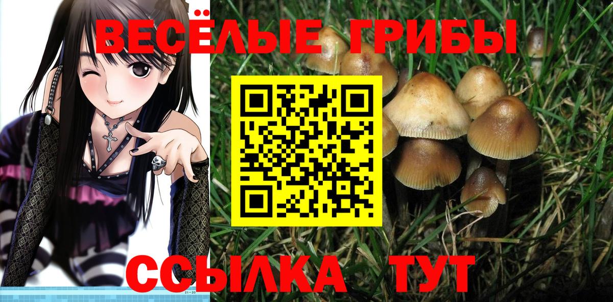 Псилоцибиновые грибы прущие грибы Ханты-Мансийск