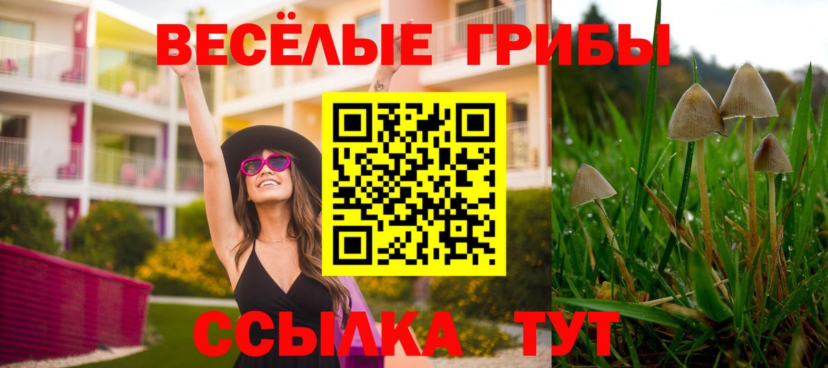 Ханты-Мансийск  Галлюциногенные грибы мухоморы  Вход с VPN 